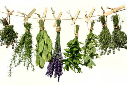 طب سنتی و گیاهان دارویی (بخش دوم)